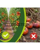 Щипки за растения домати и цвeтя 108 бр